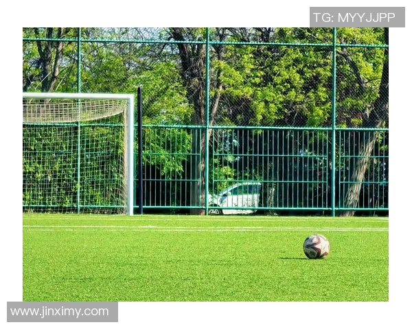 带波前行的足球巨星：他们如何在绿茵场上书写传奇